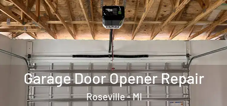  Garage Door Opener Repair Roseville - MI