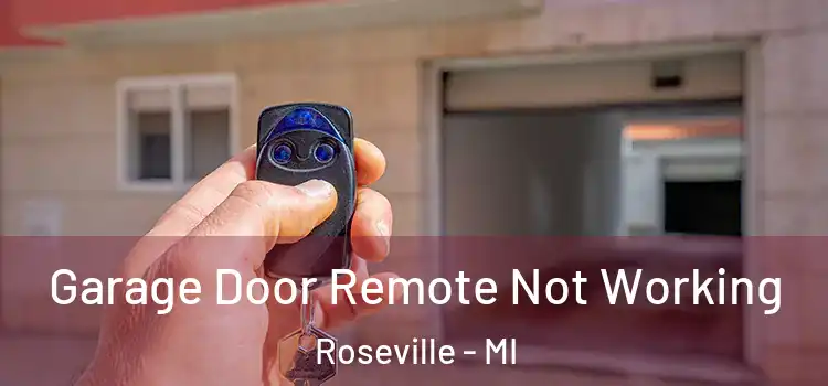  Garage Door Remote Not Working Roseville - MI