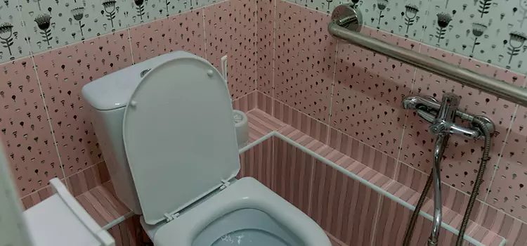 Meeting Diverse Needs With Accessible Restroom Solutions in Roseville, MI