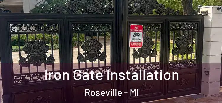 Iron Gate Installation Roseville - MI