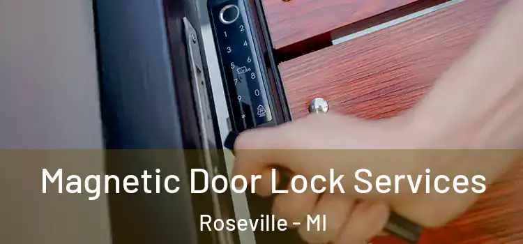 Magnetic Door Lock Services Roseville - MI