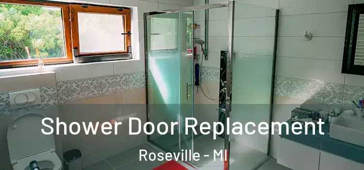 Shower Door Replacement Roseville - MI