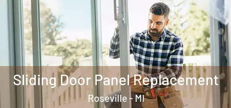  Sliding Door Panel Replacement Roseville - MI